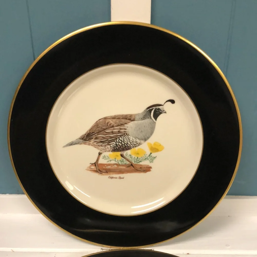 Interface American Manor China California Quail & Woodcock 11” plates‎ made USA